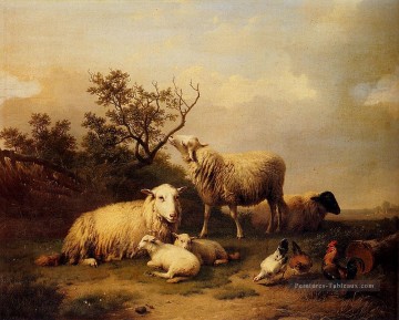  mouton - Moutons aux agneaux au repos et volaille dans un paysage Eugène Verboeckhoven animal